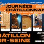 Journées Châtillonnaise 2018